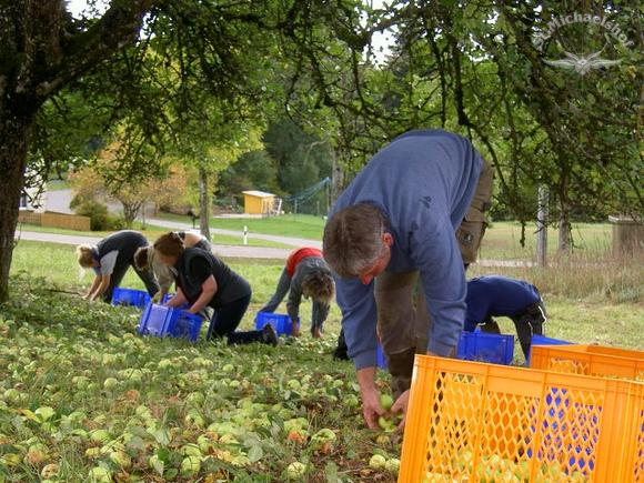 Äpfel für unseren Powertrank