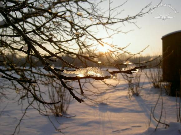 Winterkostbarkeiten