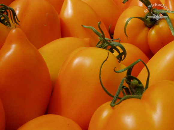 Tomatenglück in Dankbarkeit