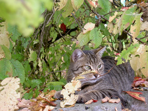 Gute Aussichten im Herbst