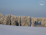 Unser Waldacker im Schnee