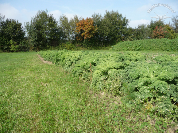 Wir trotzen Herbst und Winter