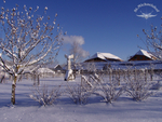 Eine unserer Johannisbeer-Himmbeer-Stachelbeer-Plantagen in Winterruhe