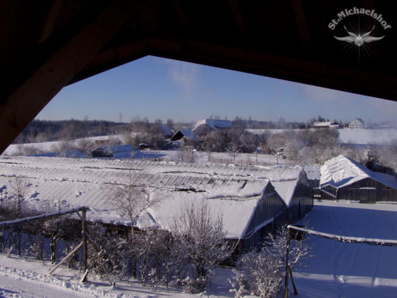 Winterblick auf unsere Gewächshäuser