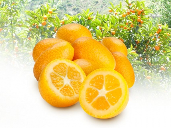 Kumquats