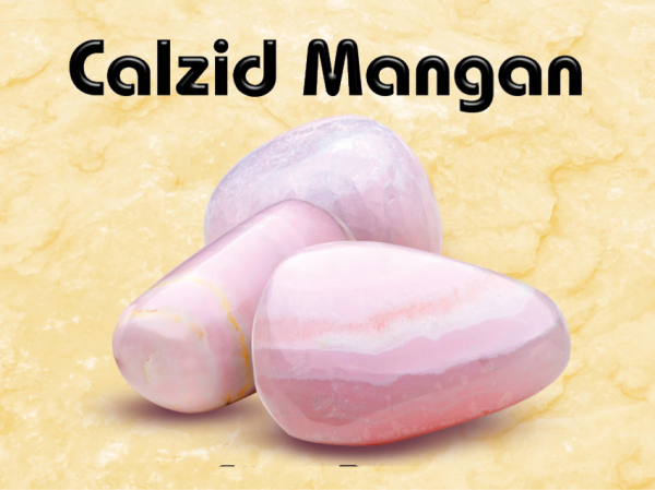 Calzid Mangan