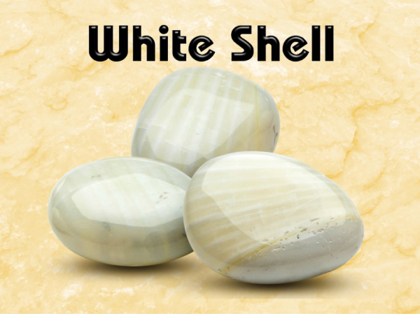 White Shell