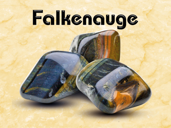 Falkenauge