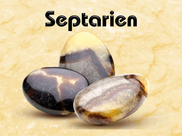 Septarien