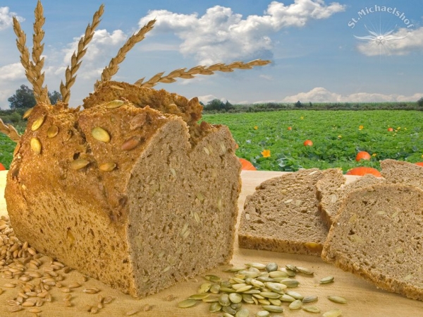 Bio Kürbiskern Brot