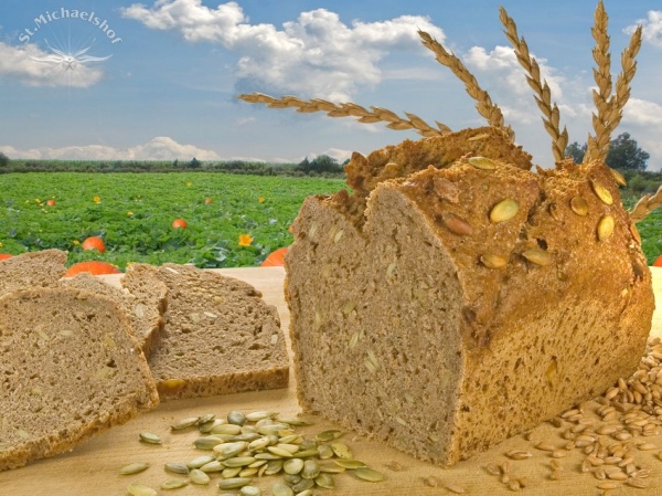 Bio Kürbiskern Brot