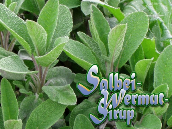 Bio Salbei-Wermut-Sirup 