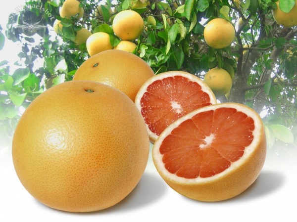 Grapefruit, rot