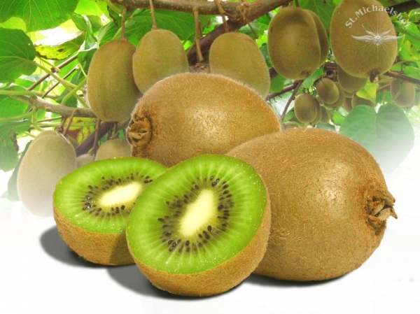 Kiwi