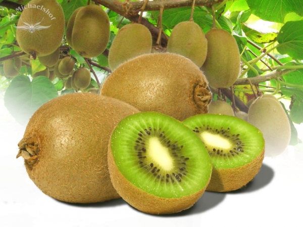 Kiwi