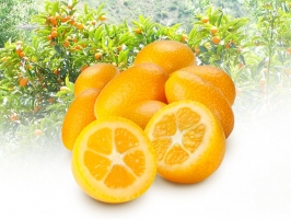 Kumquats