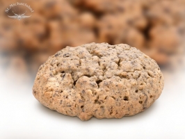 Bio Buchweizen Cookie Natur