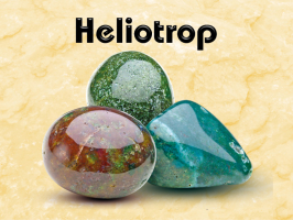 Heliotrop