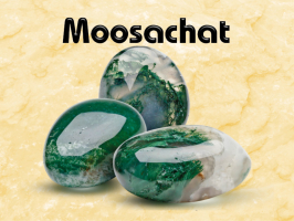 Moosachat